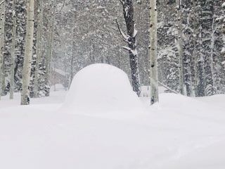 Not driving